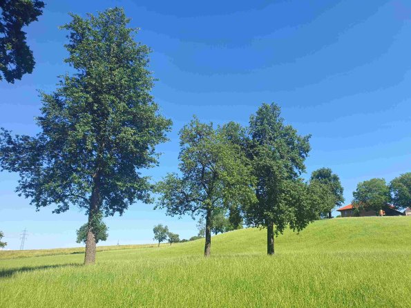 PA_AT_KOB_lc-element-photo_20220612154052301