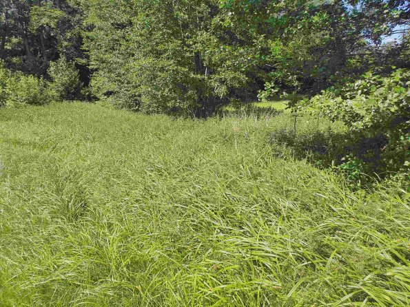 PA_AT_KOB_lc-element-photo_20220612155346836