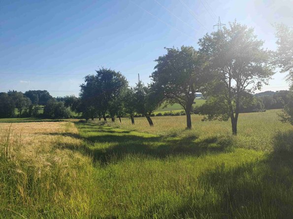 PA_AT_KOB_lc-element-photo_20220612182059940