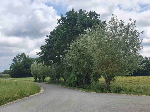 PA_AT_KOB_lc-element-photo_20220613122404254