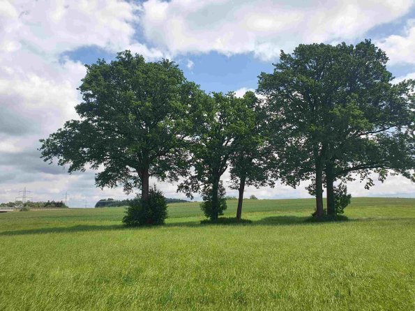 PA_AT_KOB_lc-element-photo_20220613123239291