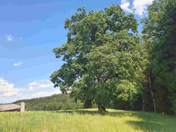 PA_AT_KOB_lc-element-photo_20220613144906149