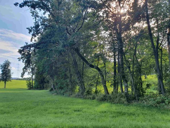 PA_AT_KOB_lc-element-photo_20220906162530793