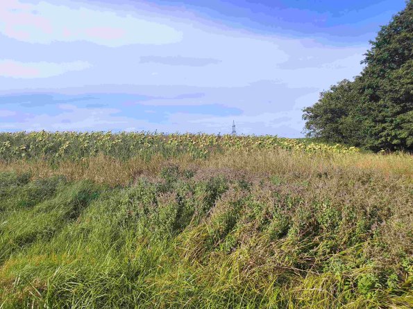 PA_AT_KOB_lc-element-photo_20220906163409045