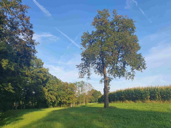 PA_AT_KOB_lc-element-photo_20220906182108029