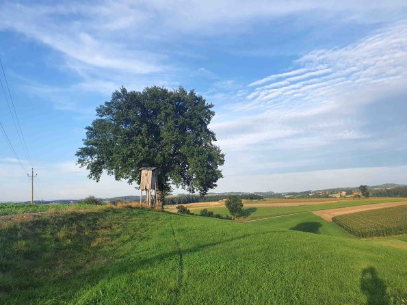 PA_AT_KOB_lc-element-photo_20220907181548698