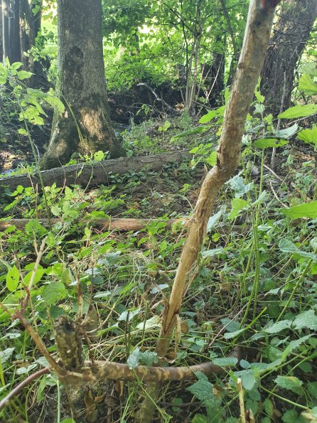 PA_AT_KOB_otheractivitysignphoto_20210926134800439