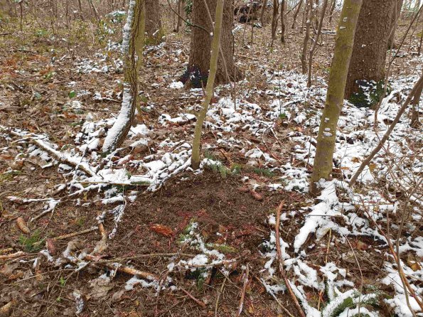 PA_AT_KOB_otheractivitysignphoto_20220402135602392