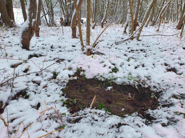 PA_AT_KOB_otheractivitysignphoto_20220403100050774