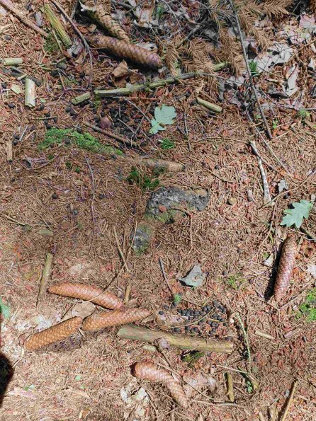 PA_AT_KOB_otheractivitysignphoto_20220611120342131