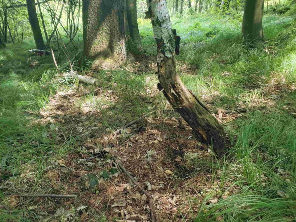 PA_AT_KOB_otheractivitysignphoto_20220611125833556