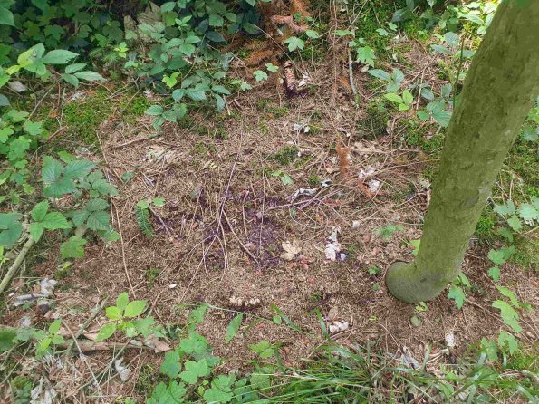 PA_AT_KOB_otheractivitysignphoto_20220611131342528