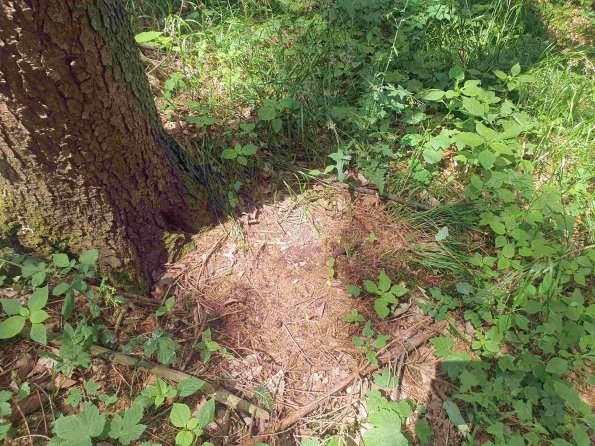 PA_AT_KOB_otheractivitysignphoto_20220611131415484