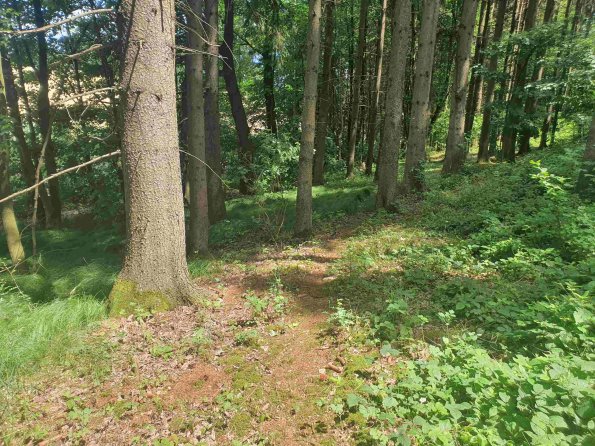 PA_AT_KOB_otheractivitysignphoto_20220611131946619