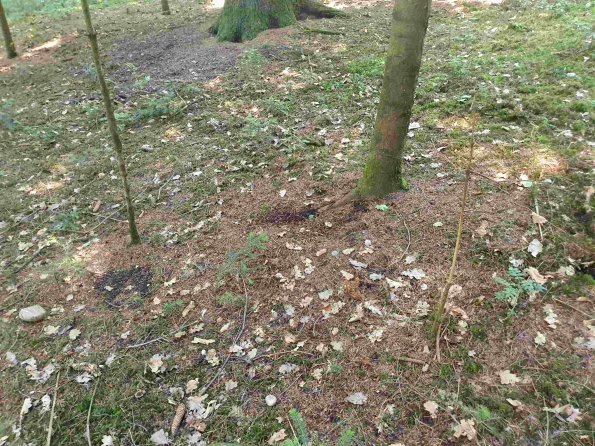 PA_AT_KOB_otheractivitysignphoto_20220611140943372