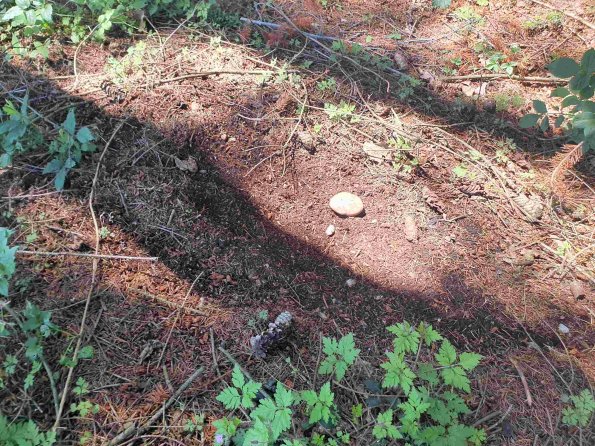 PA_AT_KOB_otheractivitysignphoto_20220611141904252