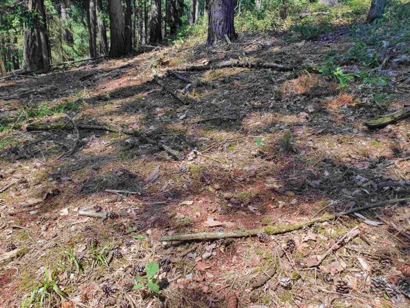 PA_AT_KOB_otheractivitysignphoto_20220611142916493_1663598276