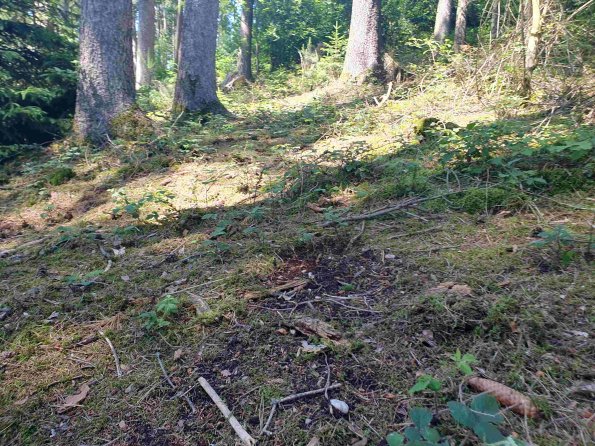 PA_AT_KOB_otheractivitysignphoto_20220611143110528_1663598276