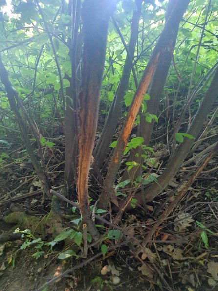 PA_AT_KOB_otheractivitysignphoto_20220611164201885_1663598286