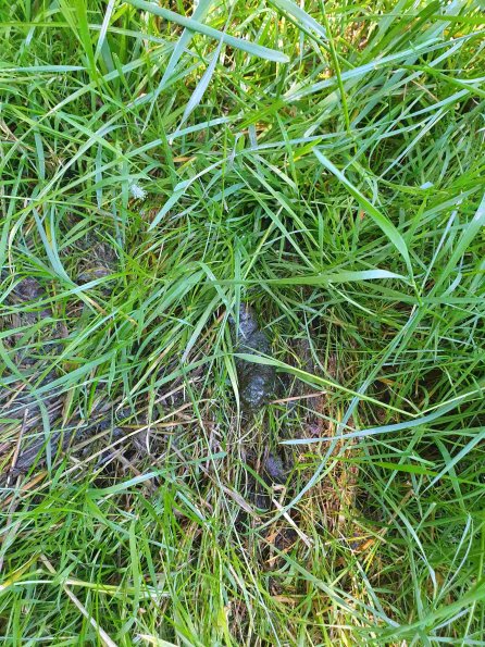 PA_AT_KOB_otheractivitysignphoto_20220612112540637