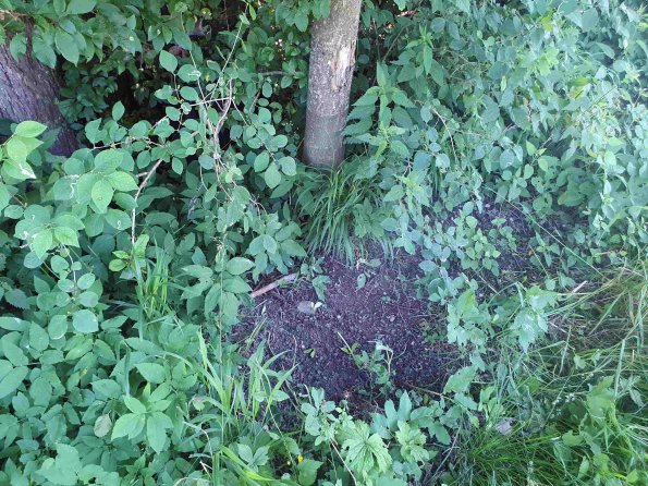 PA_AT_KOB_otheractivitysignphoto_20220612130948384