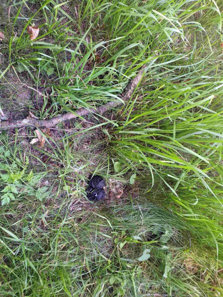 PA_AT_KOB_otheractivitysignphoto_20220612133109105