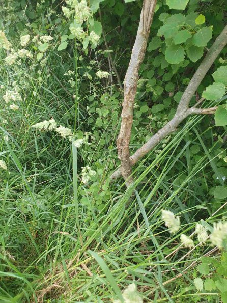 PA_AT_KOB_otheractivitysignphoto_20220613111019255