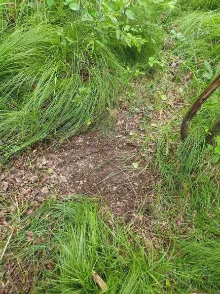 PA_AT_KOB_otheractivitysignphoto_20220613115235846