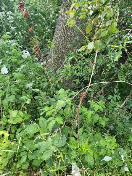 PA_AT_KOB_otheractivitysignphoto_20220613123905709