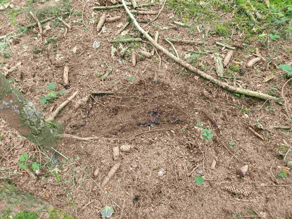 PA_AT_KOB_otheractivitysignphoto_20220613133143989