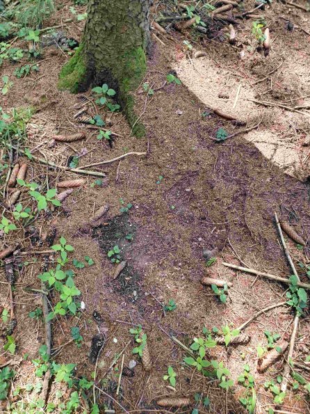 PA_AT_KOB_otheractivitysignphoto_20220613144749598