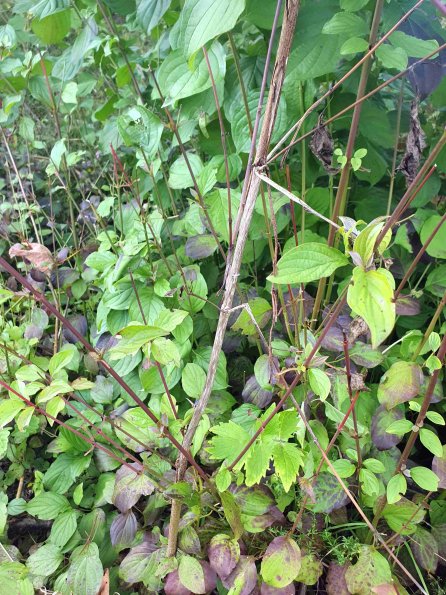 PA_AT_KOB_otheractivitysignphoto_20220906171022833