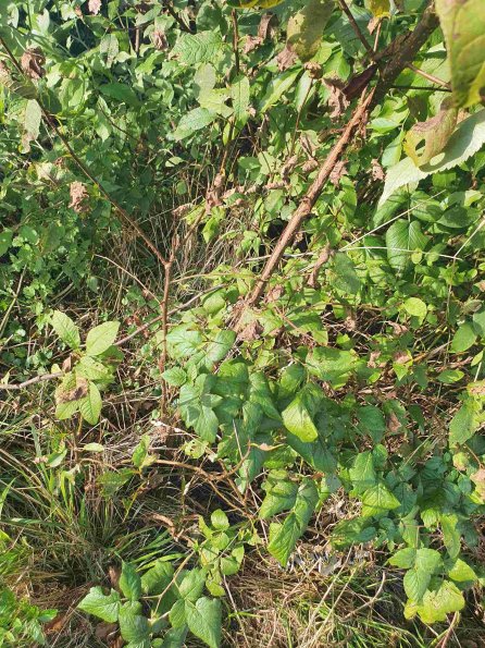 PA_AT_KOB_otheractivitysignphoto_20220906181748805