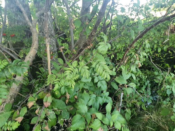 PA_AT_KOB_otheractivitysignphoto_20220906182233199