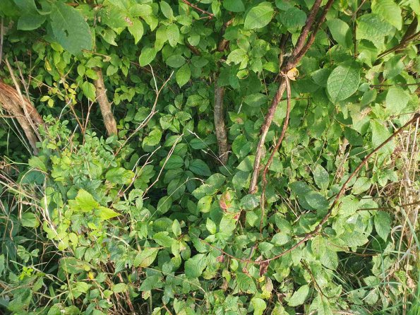 PA_AT_KOB_otheractivitysignphoto_20220906182554886