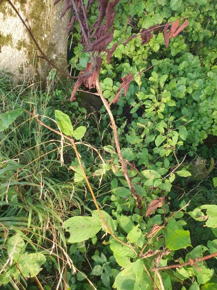 PA_AT_KOB_otheractivitysignphoto_20220906182630588