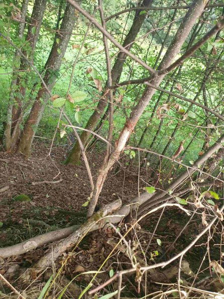 PA_AT_KOB_otheractivitysignphoto_20220907095332635