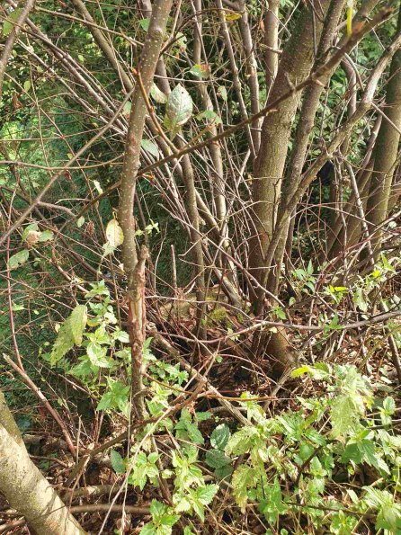 PA_AT_KOB_otheractivitysignphoto_20220907095724646