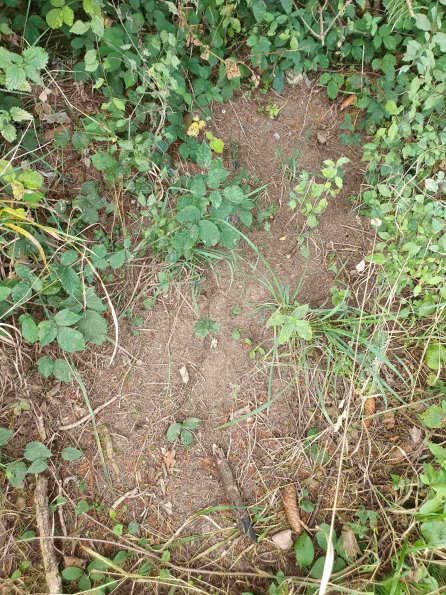 PA_AT_KOB_otheractivitysignphoto_20220907111104326