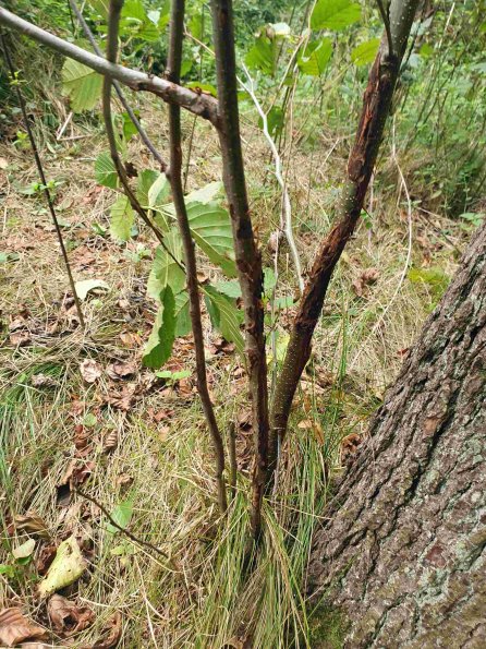 PA_AT_KOB_otheractivitysignphoto_20220907112438427