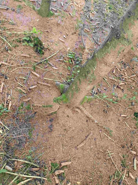 PA_AT_KOB_otheractivitysignphoto_20220907113809880