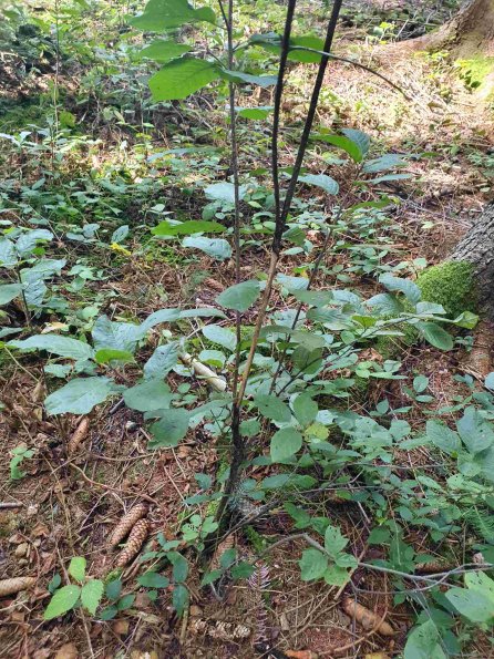 PA_AT_KOB_otheractivitysignphoto_20220907114710083