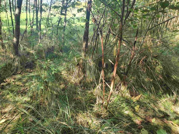 PA_AT_KOB_otheractivitysignphoto_20220907122240962