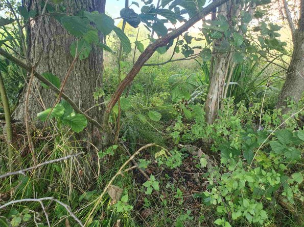 PA_AT_KOB_otheractivitysignphoto_20220907122622399