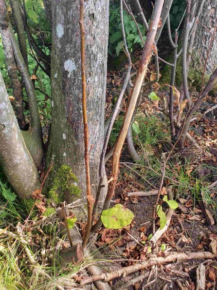 PA_AT_KOB_otheractivitysignphoto_20220907123018274