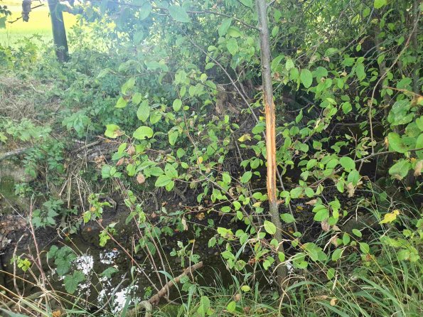 PA_AT_KOB_otheractivitysignphoto_20220907123743635