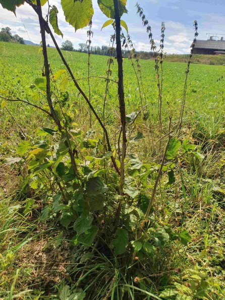 PA_AT_KOB_otheractivitysignphoto_20220907125522446