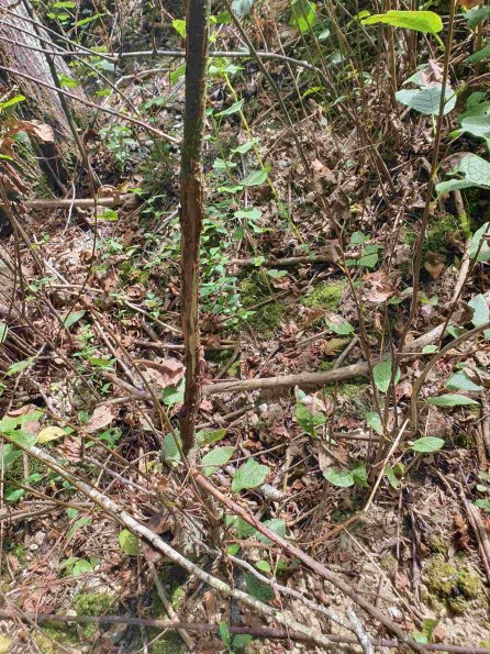 PA_AT_KOB_otheractivitysignphoto_20220907132919915