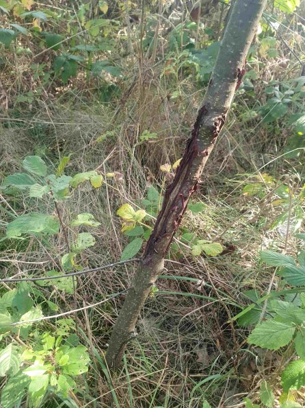 PA_AT_KOB_otheractivitysignphoto_20220907143416765