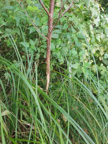 PA_AT_KOB_otheractivitysignphoto_20220907154308593